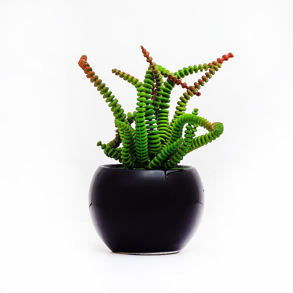 Artificial Potted Succulent Plant (Marble Pot)